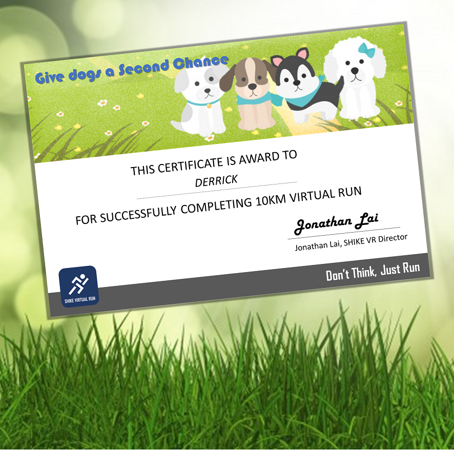 Give dogs a second chance Virtual Run