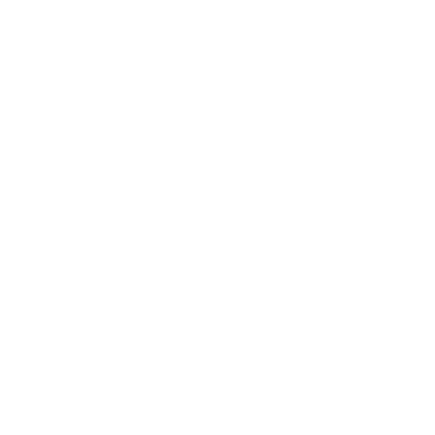 Shike Virtual Run logo