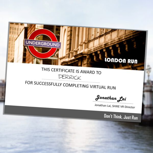 London Virtual Run - Image 4