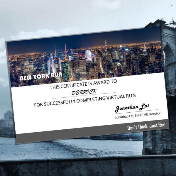 New York Virtual Run - Image 4